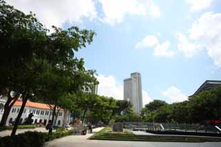 photo,material,free,landscape,picture,stock photo,Creative Commons,Singapore, SMU, high-rise building, roadside tree, The tropical zone