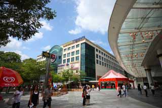 photo,material,free,landscape,picture,stock photo,Creative Commons,Singapore, Shopping, subway, roadside tree, The tropical zone