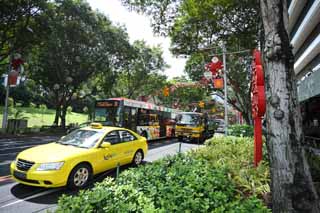 photo,material,free,landscape,picture,stock photo,Creative Commons,An orchard road, car, Christmas, roadside tree, The tropical zone