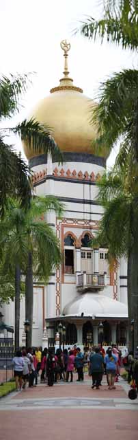 photo,material,free,landscape,picture,stock photo,Creative Commons,A sultan mosque, Islam, mosque, Faith, dome