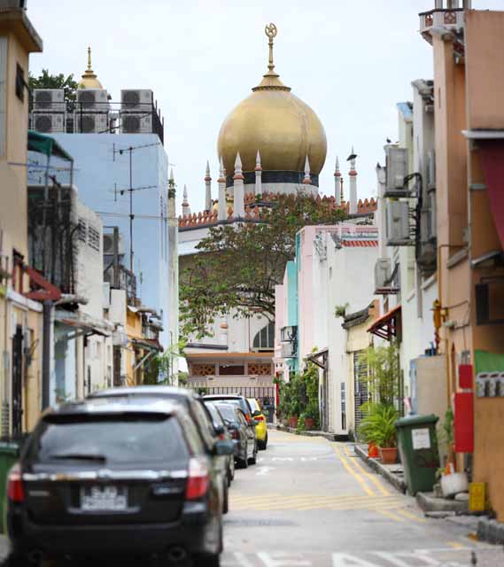 photo,material,free,landscape,picture,stock photo,Creative Commons,A sultan mosque, Islam, mosque, Faith, dome