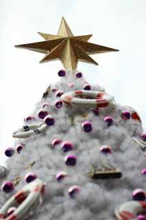 photo, la matire, libre, amnage, dcrivez, photo de la rserve,Un sapin de Nol, toile, Neige, Un ornement, X'mas