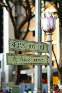 photo,material,free,landscape,picture,stock photo,Creative Commons,A road sign, SERANGOON, flower, street, road