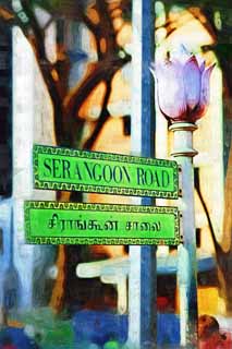 illustration,material,free,landscape,picture,painting,color pencil,crayon,drawing,A road sign, SERANGOON, flower, street, road