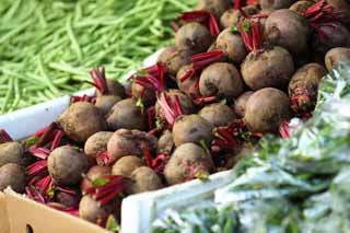 photo,material,free,landscape,picture,stock photo,Creative Commons,Beetroot, vegetable store, Beetroot, Purple, root
