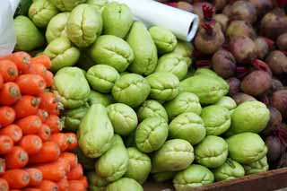 fotografia, materiale, libero il panorama, dipinga, fotografia di scorta,Un chayotli, negozio vegetale, chayotli, Sen Nari la zucca, zucca di grappolo