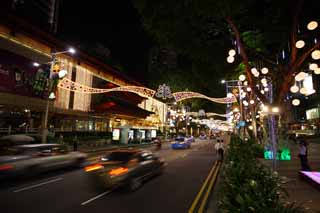 photo,material,free,landscape,picture,stock photo,Creative Commons,An orchard road, The sidewalk, Christmas, roadside tree, The tropical zone