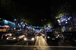 photo,material,free,landscape,picture,stock photo,Creative Commons,An orchard road, The sidewalk, Christmas, roadside tree, The tropical zone