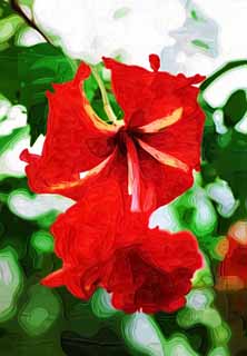 illustration,material,free,landscape,picture,painting,color pencil,crayon,drawing,Tropical red, An orchid, , petal, I am gorgeous