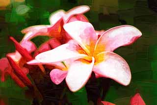 ,,, ,,,   , ,.  

frangipani .,   ., frangipani.,  .,  .