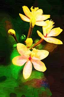 illustration,material,free,landscape,picture,painting,color pencil,crayon,drawing,A yellow orchid, An orchid, , , I am luxurious