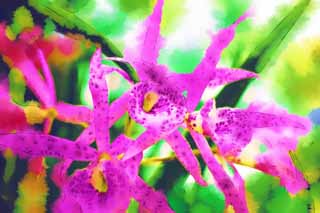 illust, materiell, befreit, Landschaft, Bild, Gemlde, Farbbleistift, Wachsmalstift, Zeichnung,,Eine rosa Orchidee, Eine Orchidee, , , Ich bin luxuris