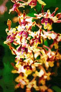 illustration,material,free,landscape,picture,painting,color pencil,crayon,drawing,A yellow orchid, An orchid, , , I am luxurious