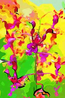 illust, materiale, libero panorama, ritratto dipinto, matita di colore disegna a pastello, disegnando,Un imporpori orchidea, Un'orchidea, , , Io sono lussuoso