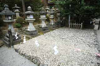 photo,material,free,landscape,picture,stock photo,Creative Commons,Ishigami major shrine prevention against evil, The Japanese Chronicle of Japan, description of folk history, stone lantern, paper appendix