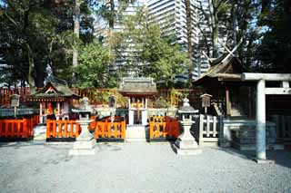 fotografia, material, livra, ajardine, imagine, proveja fotografia,Fushimi-Inari Taisha Santurio o bobo da corte profissional, Xintosmo, Santurio de Xintosmo, Inari, raposa