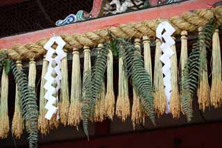 fotografia, materiale, libero il panorama, dipinga, fotografia di scorta,Fushimi-Inari Taisha il Sacrario festone di paglia scintoista, Festone di paglia scintoista, tappezzi appendice, Inari, volpe