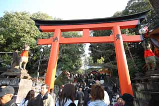 , , , , ,  .,Fushimi- Taisha Shrine torii,     Shinto shrine, torii, , 