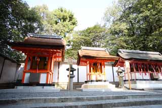 fotografia, material, livra, ajardine, imagine, proveja fotografia,Fushimi-Inari Taisha Santurio o bobo da corte profissional, Xintosmo, Corporao de figura central, Inari, raposa