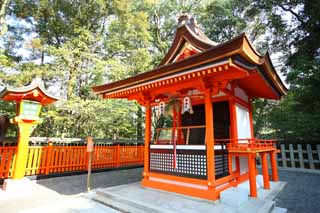 fotografia, material, livra, ajardine, imagine, proveja fotografia,Fushimiinari o bobo da corte profissional, A visita de Ano novo para um santurio de Xintosmo, Eu sou pintado em vermelho, Inari, raposa