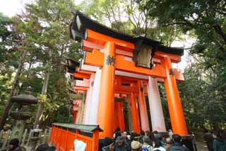 Foto, materieel, vrij, landschap, schilderstuk, bevoorraden foto,1,000 Fushimi-inari Taisha Shrine toriis, Nieuw bezoek van Jaar naar een Shinto heiligdom, Torii, Inari, Vos