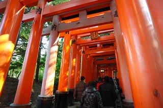 Foto, materieel, vrij, landschap, schilderstuk, bevoorraden foto,1,000 Fushimi-inari Taisha Shrine toriis, Nieuw bezoek van Jaar naar een Shinto heiligdom, Torii, Inari, Vos