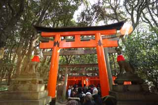 fotografia, materiale, libero il panorama, dipinga, fotografia di scorta,1,000 Fushimi-Inari Taisha toriis di Sacrario, La visita di anno Nuovo ad un sacrario scintoista, torii, Inari, volpe