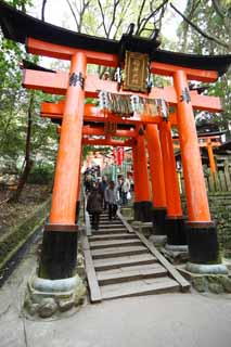 Foto, materieel, vrij, landschap, schilderstuk, bevoorraden foto,Fushimi-inari Taisha Shrine torii, Nieuw bezoek van Jaar naar een Shinto heiligdom, Torii, Inari, Vos