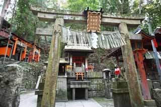 Foto, materieel, vrij, landschap, schilderstuk, bevoorraden foto,Fushimi-inari Taisha Shrine torii, Nieuw bezoek van Jaar naar een Shinto heiligdom, Torii, Inari, Vos