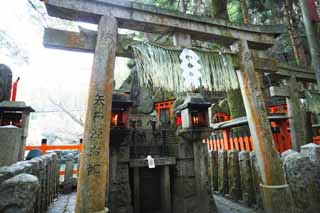 fotografia, material, livra, ajardine, imagine, proveja fotografia,Fushimi-Inari Taisha torii de Santurio, A visita de Ano novo para um santurio de Xintosmo, torii, Inari, raposa