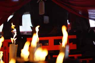 Foto, materieel, vrij, landschap, schilderstuk, bevoorraden foto,Fushimi-inari Taisha Shrine havik adelaar bedrijf, Kaarsstandaard, , Inari, Vos