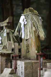 photo,material,free,landscape,picture,stock photo,Creative Commons,Fushimi-Inari Taisha Shrine gravestone, Shinto straw festoon, paper appendix, Inari, fox