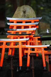 fotografia, materiale, libero il panorama, dipinga, fotografia di scorta,Fushimi-Inari Taisha torii di Sacrario, La visita di anno Nuovo ad un sacrario scintoista, torii, Inari, volpe