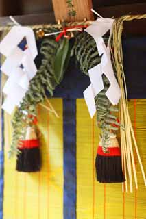 ,,, ,,,   Taisha Fushimi-Inari.,  ., ,  ., .