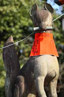 fotografia, material, livra, ajardine, imagine, proveja fotografia,Fushimi-Inari Taisha imagem de raposa de Santurio, Cortina rolada, torii, Inari, raposa