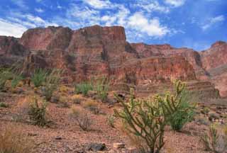 Foto, materieel, vrij, landschap, schilderstuk, bevoorraden foto,Canyon en cactussen, Klif, Blauwe lucht, , 