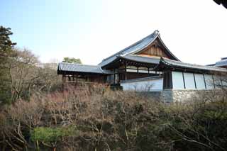 fotografia, materiale, libero il panorama, dipinga, fotografia di scorta,Tempio di Tofuku-ji prete principale, Chaitya, Buddismo Zen, Cancello di Cinese-stile, panorama asciutto giardino di giardino giapponese