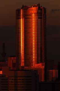 photo,material,free,landscape,picture,stock photo,Creative Commons,Tokyo of the dusk, Roppongi Hills, building, Sky tree, building