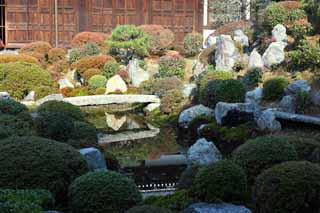 photo,material,free,landscape,picture,stock photo,Creative Commons,Tofuku-ji Temple founder's shrine garden, Chaitya, Japanese garden, rock, pond