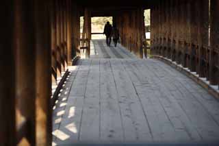 fotografia, material, livra, ajardine, imagine, proveja fotografia,Templo de Tofuku-ji que conduz  ponte de cu, Chaitya, ponte, atravesse corredor, 