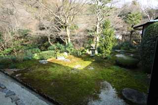 fotografia, materiale, libero il panorama, dipinga, fotografia di scorta,Il giardino del Tempio di Tofuku-ji prete principale, Chaitya, pietra, I giapponesi fanno del giardinaggio, prenda a sassate lanterna