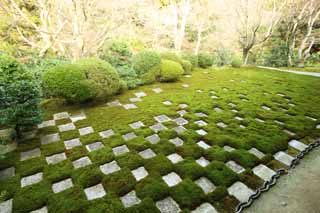 photo, la matire, libre, amnage, dcrivez, photo de la rserve,Temple Tofuku-ji prtre principal jardin nord, Chaitya, Chques, Porte du Chinois-style, arrire-cour