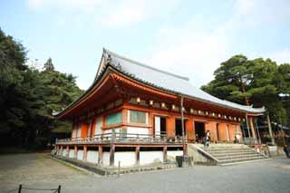 photo,material,free,landscape,picture,stock photo,Creative Commons,Daigo-ji Temple inner temple, Chaitya, Buddhist image, The Buddha of Healing sedentary image, I am painted in red