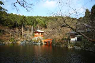 photo,material,free,landscape,picture,stock photo,Creative Commons,Daigo-ji Temple wife of chief zen-priest temple, Chaitya, pond, Sarasvati, I am painted in red