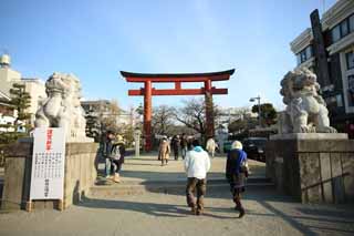 photo,material,free,landscape,picture,stock photo,Creative Commons,Hachiman-gu Shrine approach to a shrine, torii, pair of stone guardian dogs, An approach to a shrine, lantern