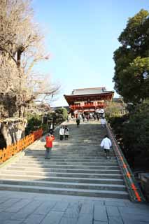 Foto, materieel, vrij, landschap, schilderstuk, bevoorraden foto,Hachiman-gu Shrine Hongu, , Een opper heiligdom, Belangrijkste heiligdom, Heilige boom