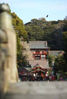 Foto, materieel, vrij, landschap, schilderstuk, bevoorraden foto,Hachiman-gu Shrine Hongu, , Een opper heiligdom, Belangrijkste heiligdom, 
