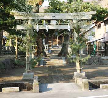 Foto, materieel, vrij, landschap, schilderstuk, bevoorraden foto,Kamakura Yasaka Oga torii, Shinto heiligdom, Shinto, Shinto stro festoon, Nieuw pijnboom van Jaar en bamboo decoraties