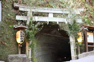 Foto, materiell, befreit, Landschaft, Bild, hat Foto auf Lager,Zeniarai-benten Shrine torii, torii, Tunnel, Frau des Hauptzen-Priesters, Profitabel