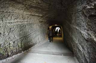 fotografia, materiale, libero il panorama, dipinga, fotografia di scorta,Tunnel di Sacrario di Zeniarai-benten, Adorazione, tunnel, Moglie di zen-prete principale, Lucrativo
